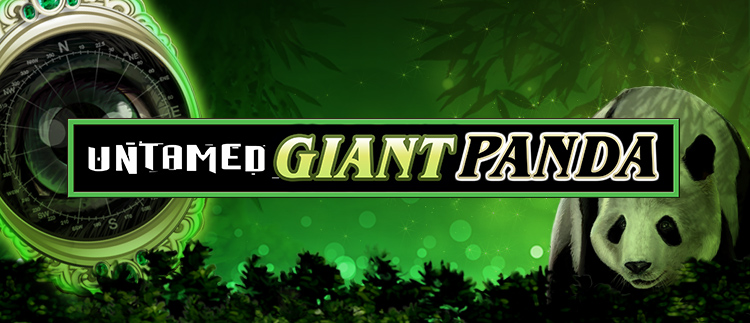 Untamed Giant Panda Online Slot Game Gaming Club Online Casino Mobile